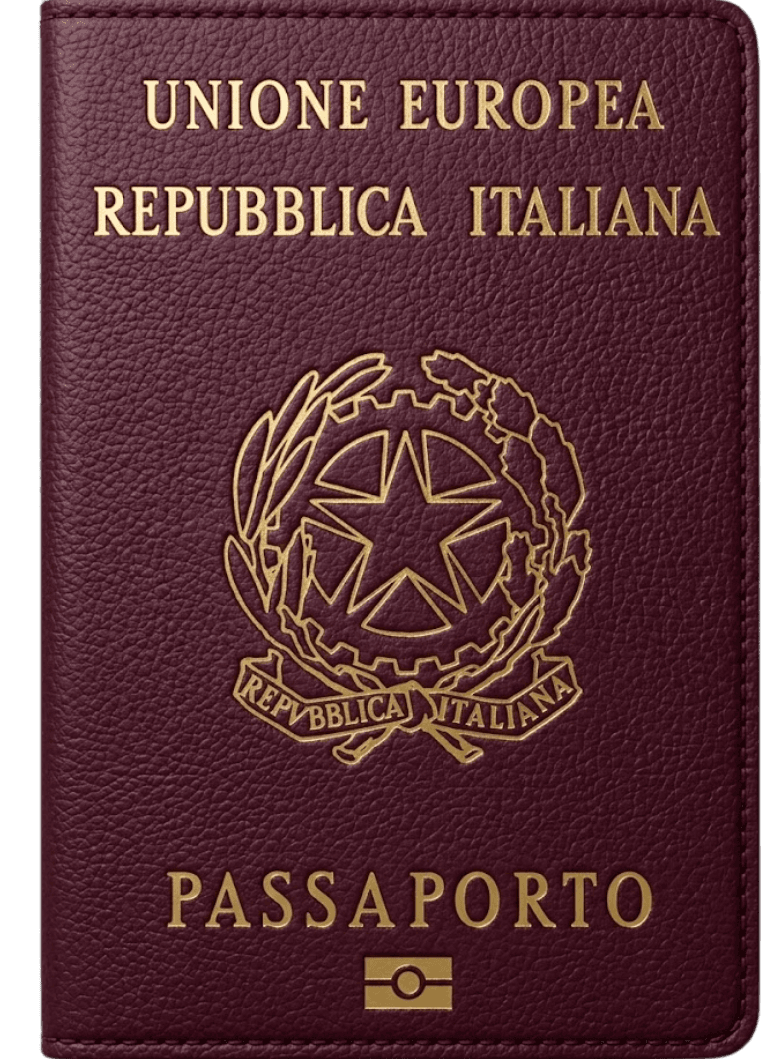 IT passport cover